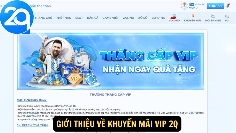 Khuyến Mãi VIP 2q: Nhận Ưu Đãi Đặc Biệt Dành Riêng Cho Thành Viên VIP 1 khuyen-mai-vip-2q-1