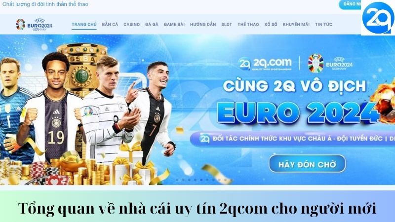Tổng quan về nhà cái uy tín 2qcom cho người mới 2 nha-cai-uy-tin-2qcom-2