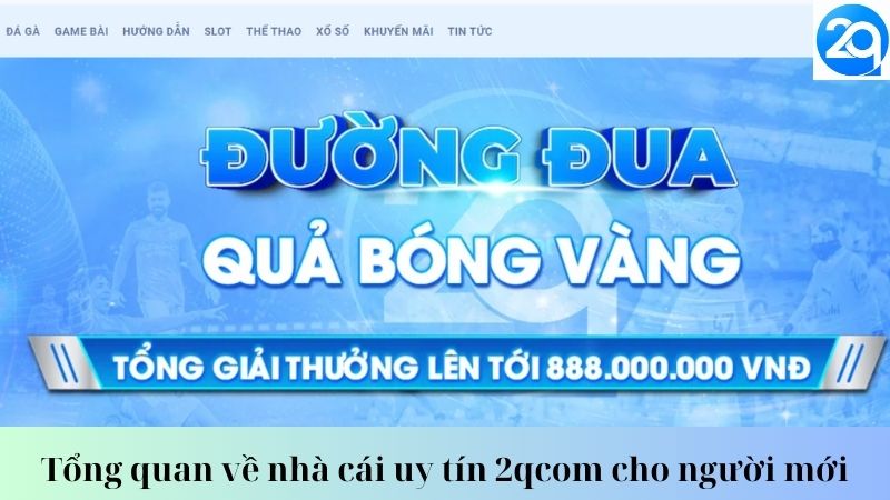 Tổng quan về nhà cái uy tín 2qcom cho người mới 3 nha-cai-uy-tin-2qcom-3