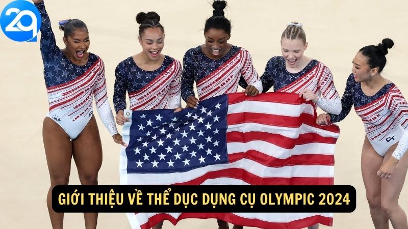 Thể Dục Dụng Cụ Olympic 2024: Những Bước Nhảy Trên 2q 1 the-duc-dung-cu-olympic-2024 -1