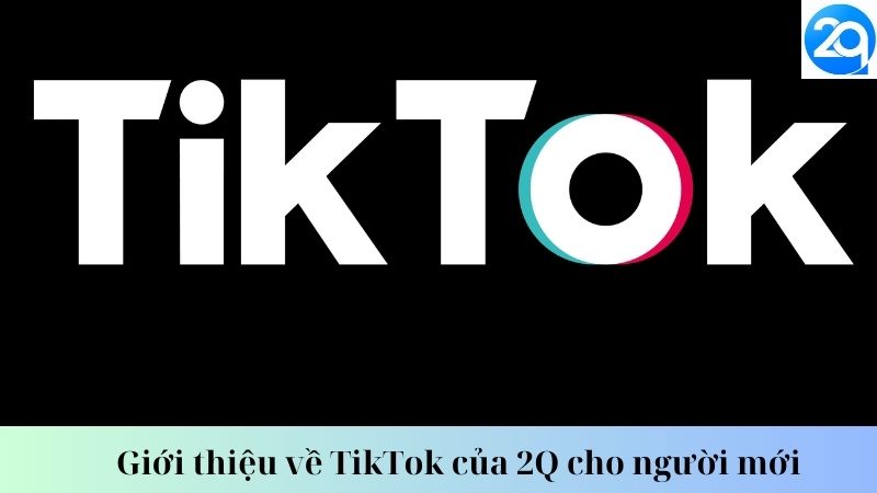 Giới thiệu về TikTok của 2Q cho người mới 2 tiktok-cua-2q-2