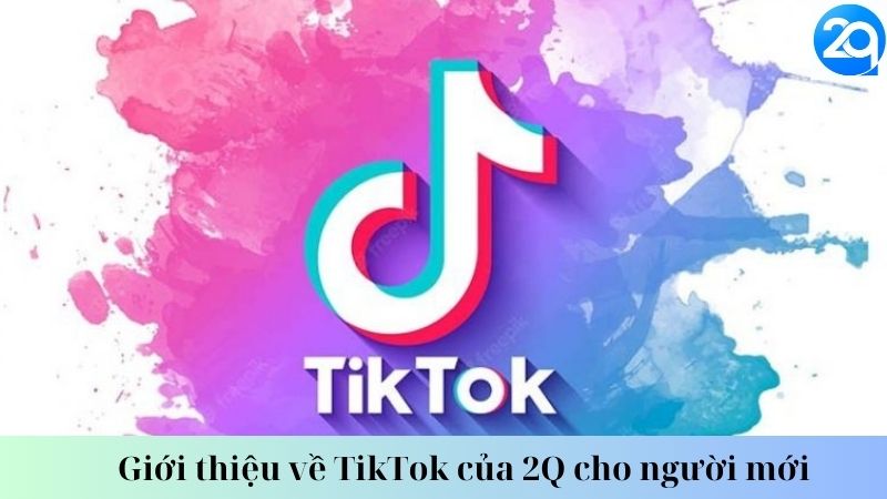 Giới thiệu về TikTok của 2Q cho người mới 1 tiktok-cua-2q-1