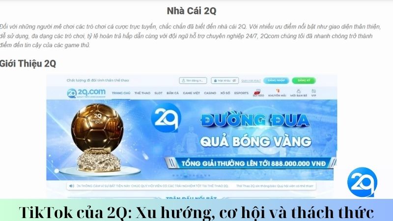 TikTok của 2Q: Xu hướng, cơ hội và thách thức 1 tiktok-cua-2q-xu-huong-co-hoi-va-thach-thuc-1