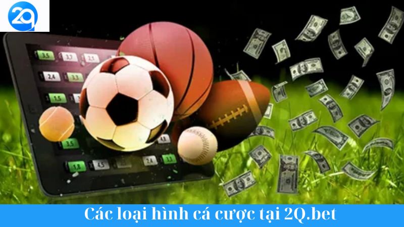 Tìm hiểu 2Q.bet: Nền tảng cá cược trực tuyến đa dạng uy tín 3 tim hieu 2q bet 3