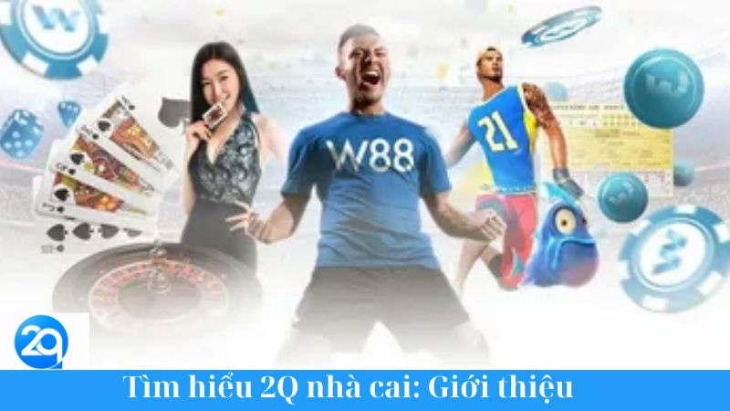 Tìm hiểu 2Q nhà cai - Nơi thoả sức với những đam mê 1 tim-hieu-2q-nha-cai-1