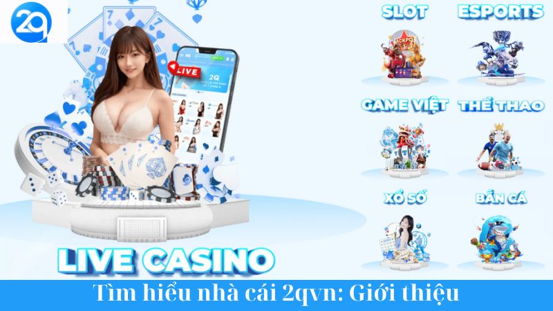 Tìm hiểu 2qvn: Thế giới cá cược trực tuyến đầy hấp dẫn 1 tim-hieu-2qvn-1