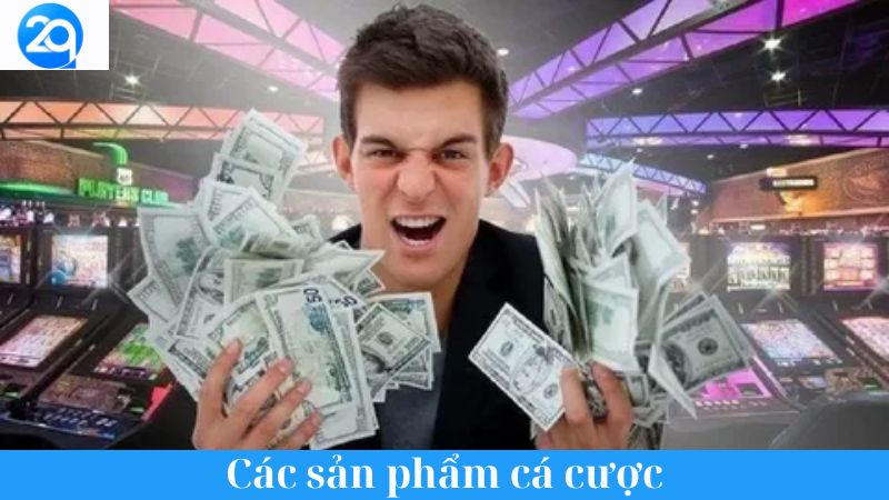 Tìm hiểu 2qvn: Thế giới cá cược trực tuyến đầy hấp dẫn 2 tim-hieu-2qvn-2