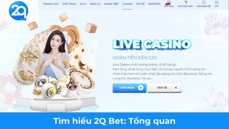 2Q - Tìm hiểu 2Q Bet: Lựa Chọn Hàng Đầu Cá Cược Trực Tuyến 1 tim-hieu-2q-bet (1)