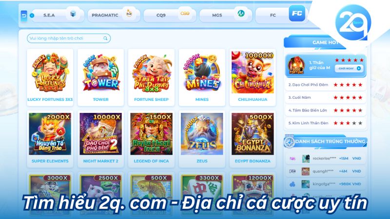 Tìm hiểu 2q. com - Địa chỉ cá cược đáng tin cậy hàng đầu Việt Nam 1 tim-hieu-2q-com-1