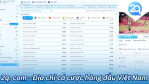 tim hieu 2q com
