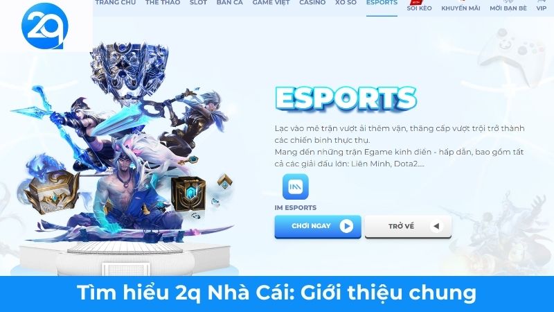 2Q - Tìm hiểu 2q Nhà Cái: Lý Do Được Yêu Thích Tại Việt Nam 1 tim-hieu-2q-nha-cai (1)
