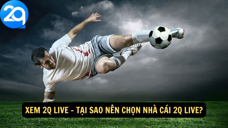 Xem 2q Live: Hướng Dẫn Xem Trực Tiếp Đơn Giản 2 xem-2q-live-2