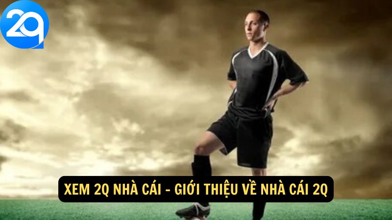 Xem 2q Nhà Cái: Phân Tích Sâu và Dự Đoán Chính Xác 1 xem-2q-nha-cai-1