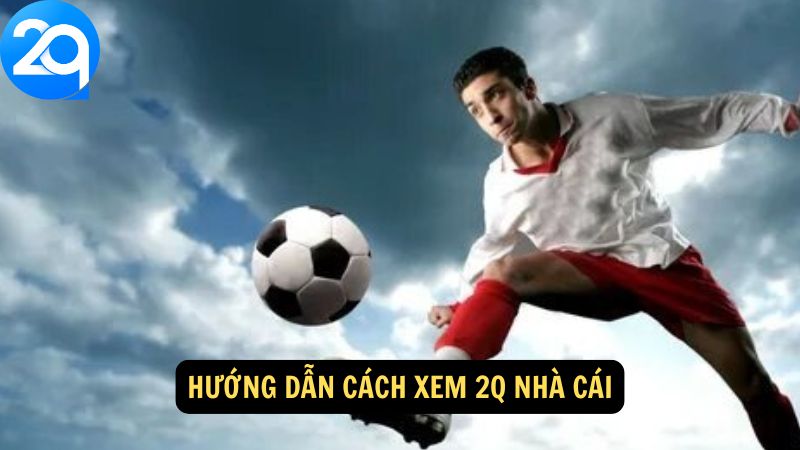 Xem 2q Nhà Cái: Phân Tích Sâu và Dự Đoán Chính Xác 3 xem-2q-nha-cai-3