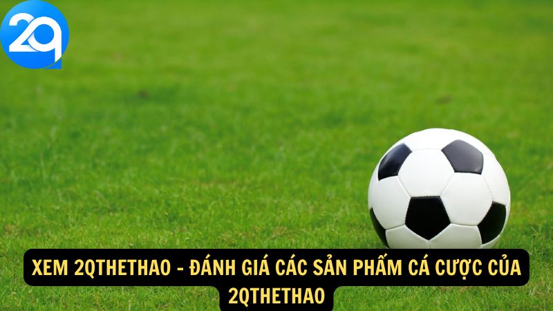 Xem 2qthethao: Phân Tích Chi Tiết Các Trận Đấu Cùng 2q 2 xem-2qthethao-2