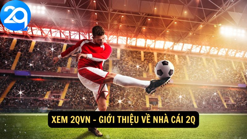 Xem 2qvn: Bước Vào Thế Giới Cá Cược Đầy Hấp Dẫn Tại 2q 1 xem-2qvn-1