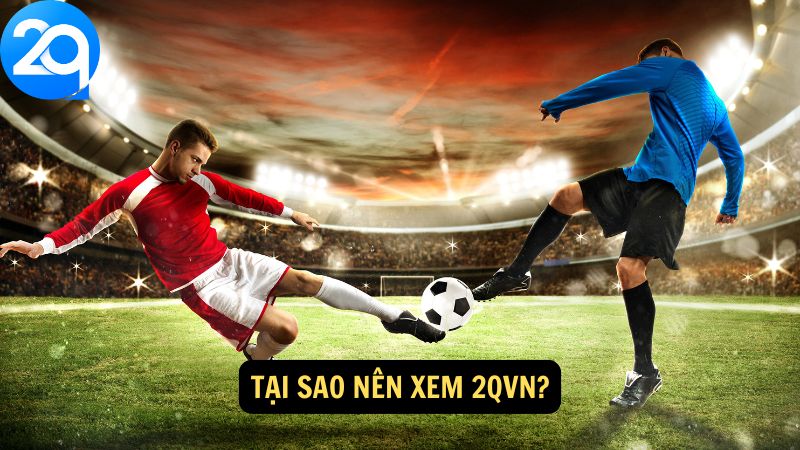 Xem 2qvn: Bước Vào Thế Giới Cá Cược Đầy Hấp Dẫn Tại 2q 2 xem-2qvn-2