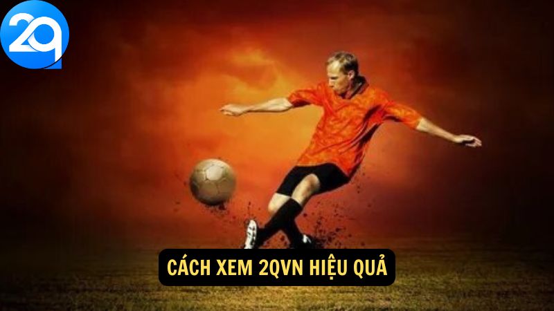Xem 2qvn: Bước Vào Thế Giới Cá Cược Đầy Hấp Dẫn Tại 2q 3 xem-2qvn-3