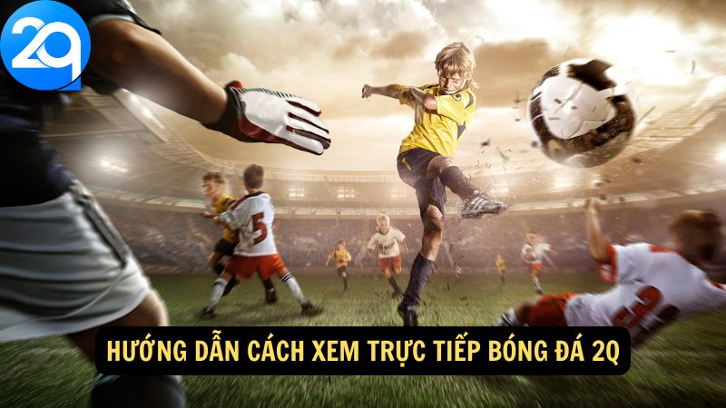 Xem Trực Tiếp Bóng Đá 2q: Các Bước Để Không Bỏ Lỡ 3 xem-truc-tiep-bong-da-2q-3
