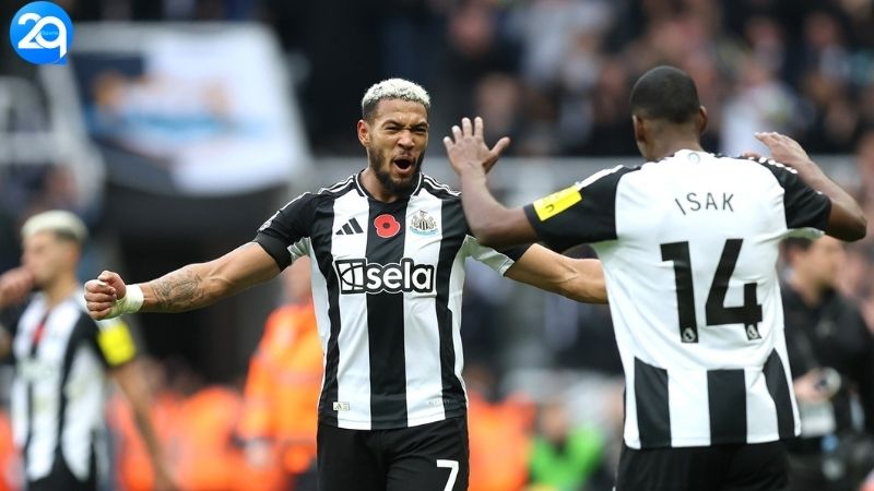 Soi Kèo Newcastle - Kèo Chấp & Cách Chọn Chuẩn Nhất 2 soi-keo-newcastle-2