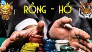 cach-bat-cau-rong-ho