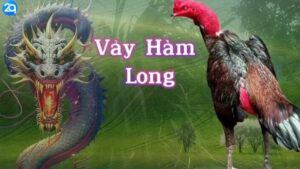 vay-ham-long