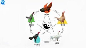 xem-mau-mang-ga-da